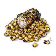 Charred corn.